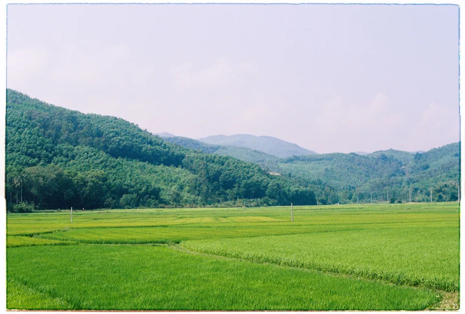 Khu sấy lúa