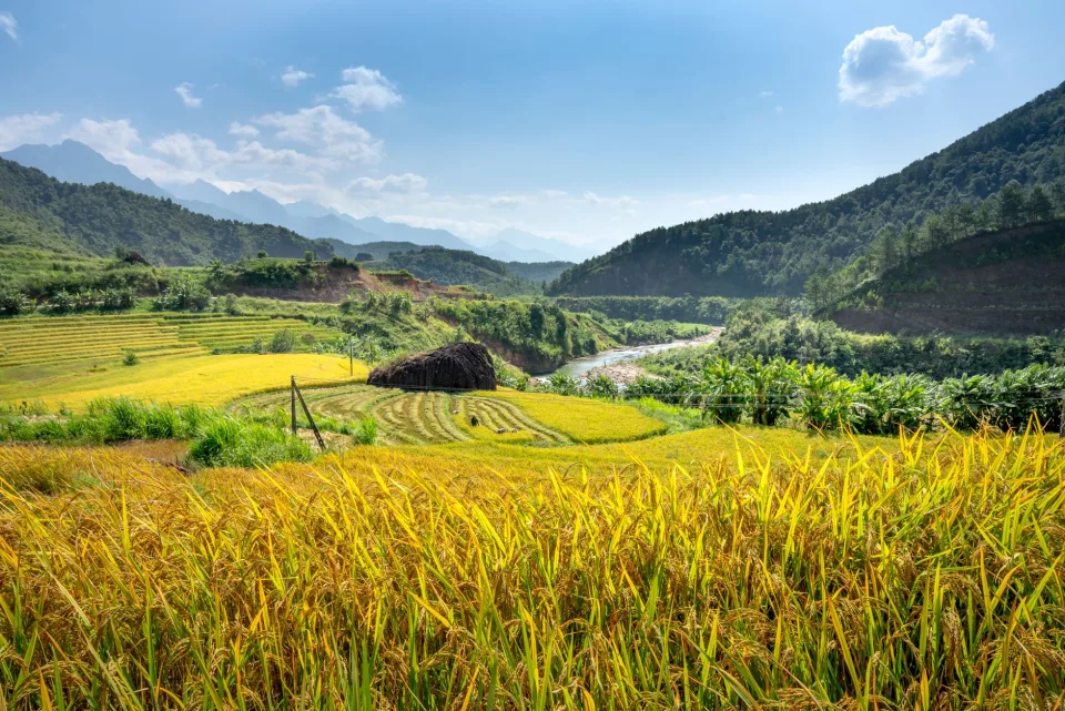 Kho chứa lúa