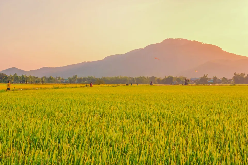 Khu đóng bao gạo