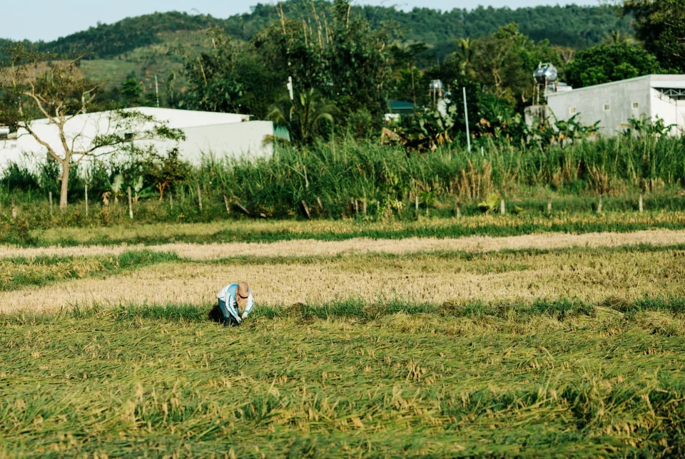 Khu xay xát gạo